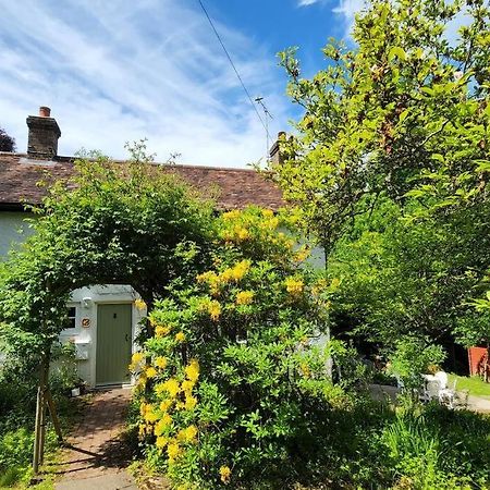 Ashdown Forest Character Cottage, 18Th Century Crowborough Exterior foto
