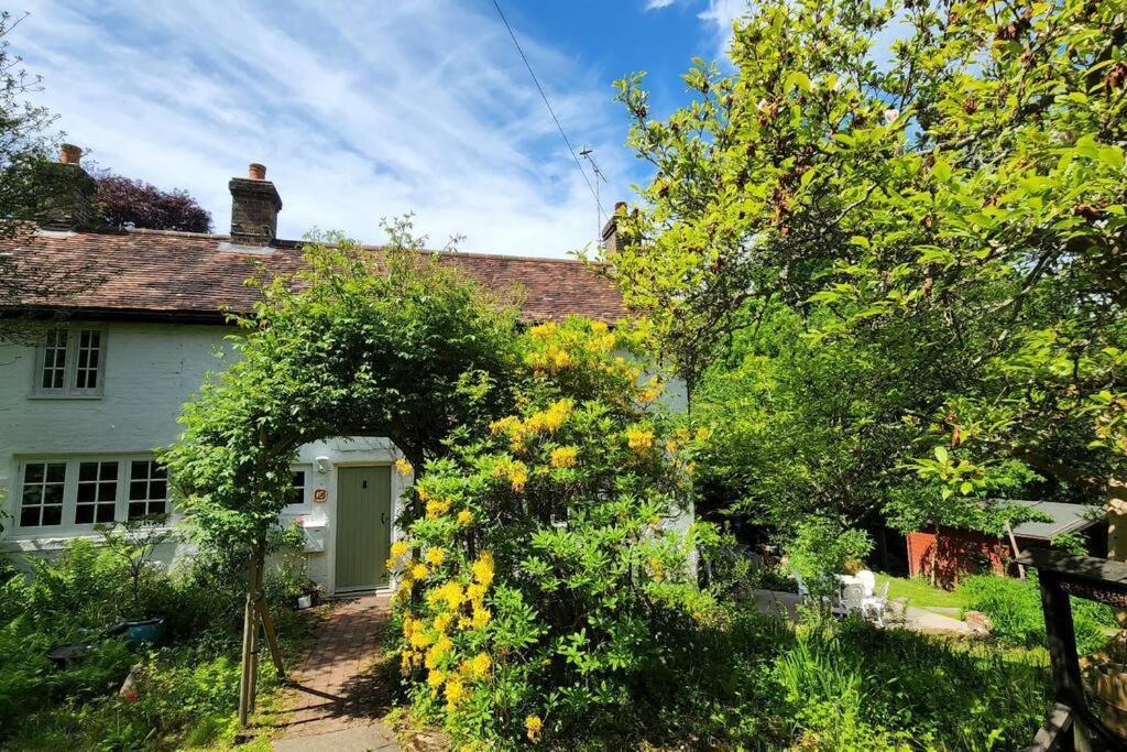 Ashdown Forest Character Cottage, 18Th Century Crowborough Exterior foto